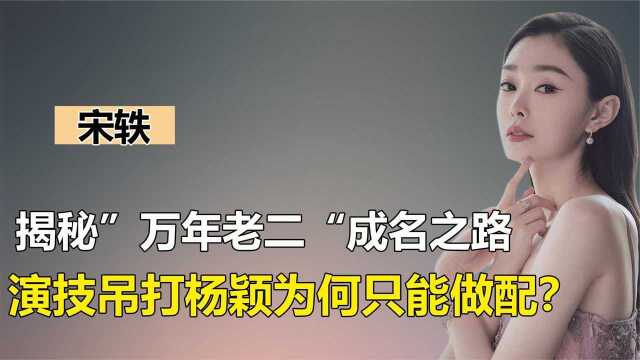 旗袍美人宋轶,13年演了34个配角,演技很棒为何只能做配角?