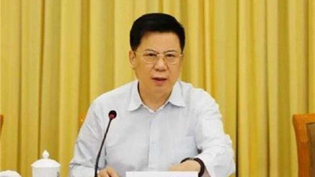 中国人寿保险集团公司董事长王滨被查