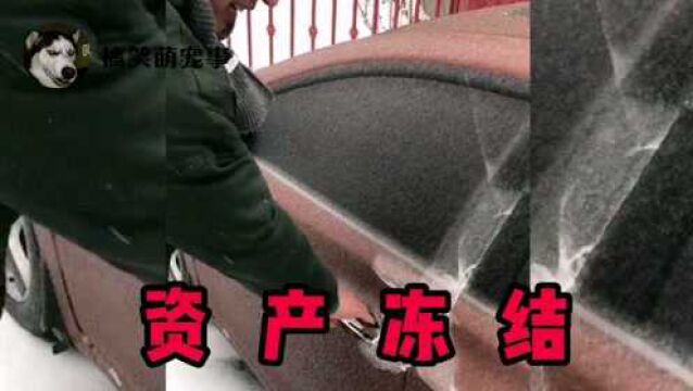 搞笑配音:这是得罪谁了,怎么还给我资产冻结了呢?#搞笑配音 #搞笑视频 #沙雕