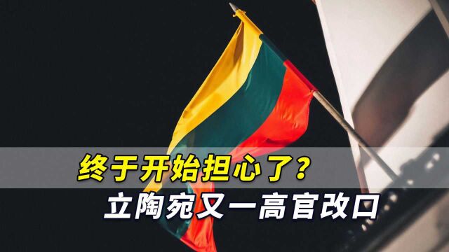 终于开始担心了?立陶宛又一高官突然改口,希望能缓和中立关系