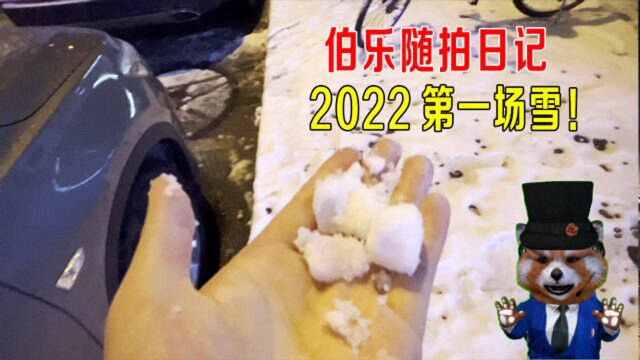 伯乐随拍日记,2022年第一场雪,造雪球、堆雪人、打雪仗!