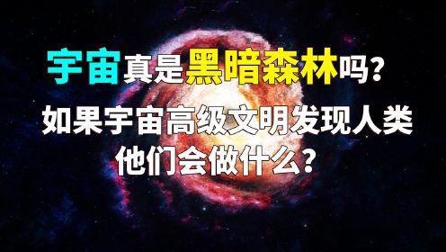 宇宙真是黑暗森林状态吗？如果高级文明发现人类，他们会做什么？