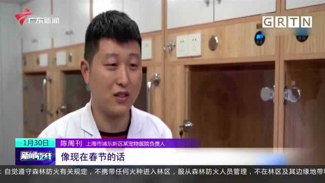 宠物寄养迎高峰 平均费用超千元