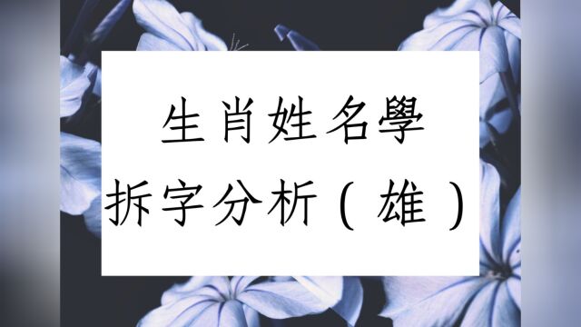 《翁子秀姓名学教室》生肖姓名学拆字分析(雄)