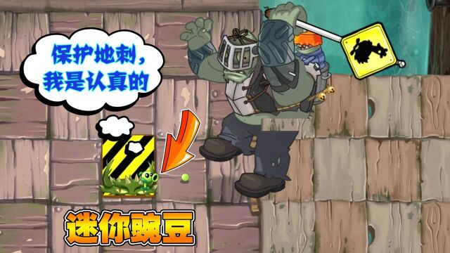 「植物大战僵尸」迷你射手:保护地刺,我是认真的!