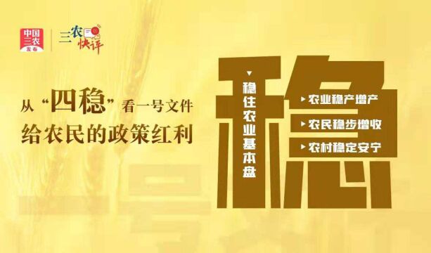 从“四稳”看一号文件给农民的政策红利 #2022年中央一号文件