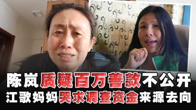 陈岚质疑百万善款不公开,江歌妈妈哭求调查资金来源去向,江歌妈妈第312次登上热搜