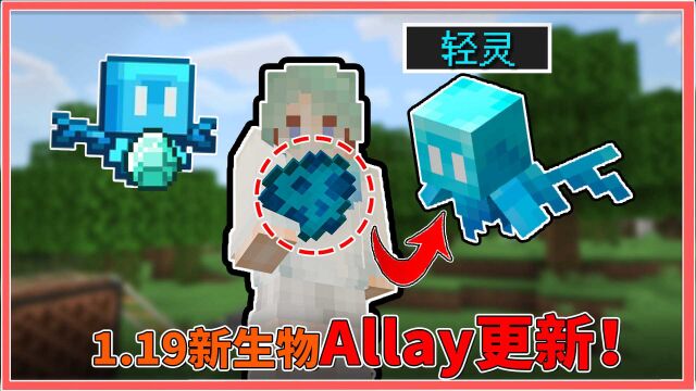 我的世界:1.19轻灵更新!新生物Allay加入游戏!帮助玩家拾取物品!