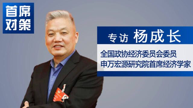 杨成长:全面注册制推行在即 投行业务理念有大变化 |首席对策