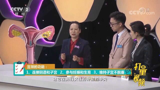 宫颈位置很重要,它的三个功能都有大作用,快来了解