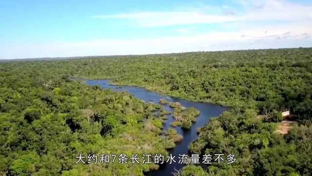 河流十大恐怖生物,寄生鱼对男人感兴趣