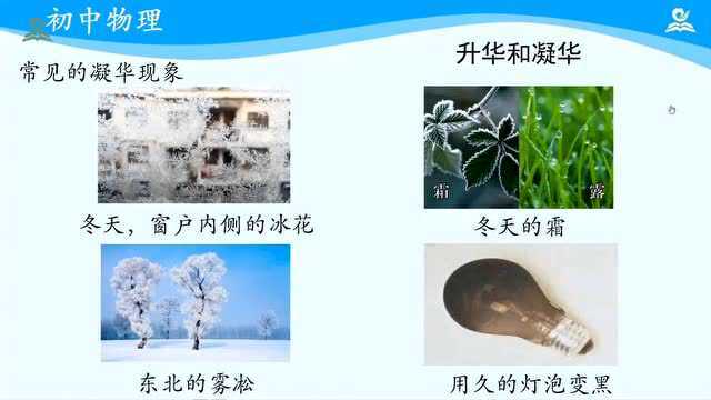 【初中物理】八年级上册复习课名师优质视频合辑