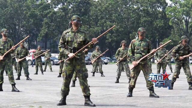 台湾现行兵役制度采用“募征并行”,义务役军人仅服役4个月