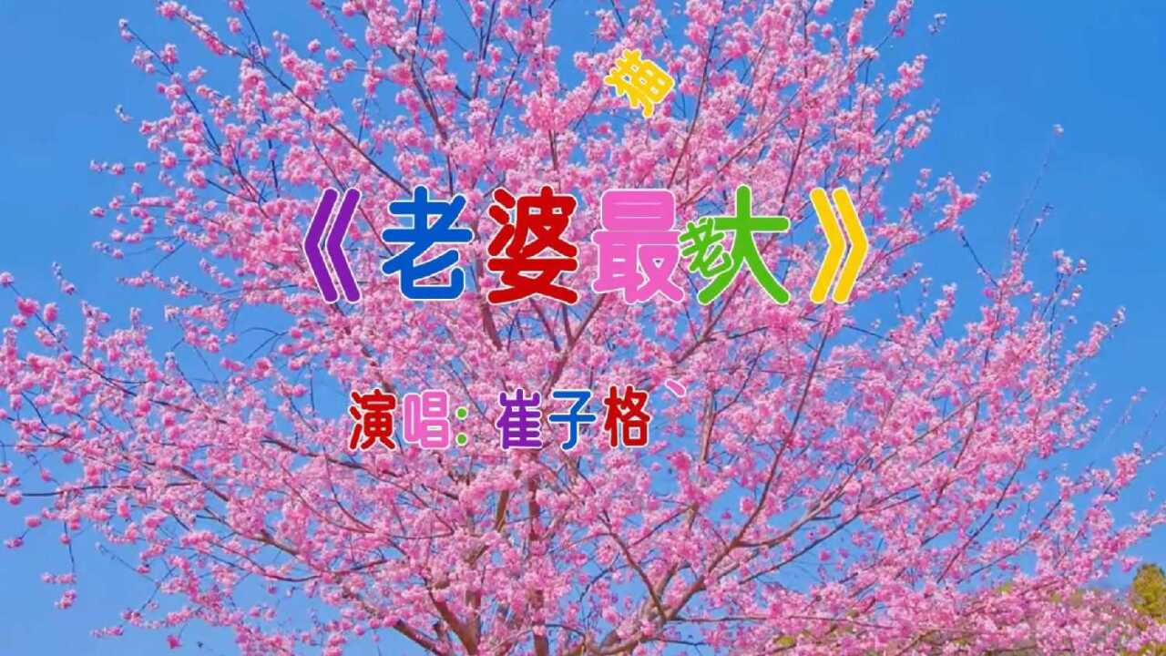 情歌对唱《老婆最大》,一首甜蜜幸福的爱情之歌,好好珍惜身边人