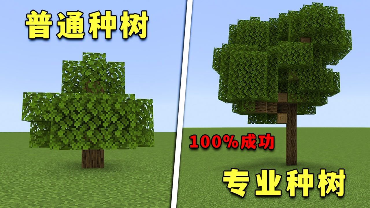 我的世界:你真的知道怎么种树吗?4个进阶隐藏特性_腾讯视频