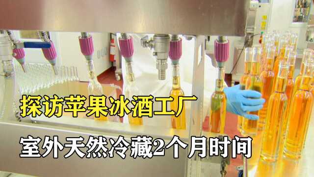 探访苹果冰酒工厂:天然冷藏2个月,等待发酵1个月