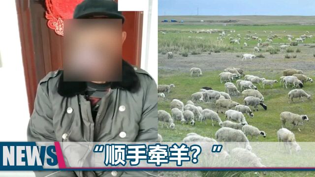 “这羊做核酸了吗”河北一巡逻人员被曝牵走老人的羊,官方回应