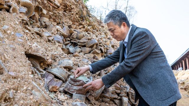 跟着“宝藏馆长”,邂逅千年青瓷文化|浙里人