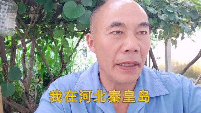 吉林55岁女士,有过两段不幸婚姻,现在想找有固定收入的男士