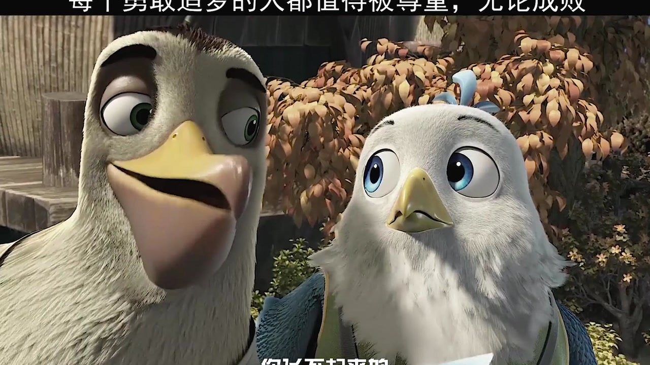 雏鹰从小在鸡村长大，不甘被同化，梦想就是能飞起来，功夫不负有心人，终于得愿了_高清1080P在线观看平台_腾讯视频