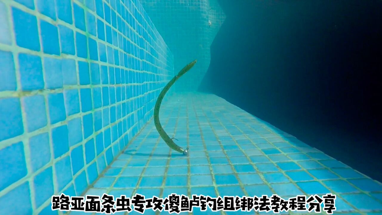 万物皆可撸之路亚面条虫专攻傻鲈钓组绑法教程分享