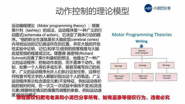 精英训练技术课程|体能训练中的生物力学基础(6)