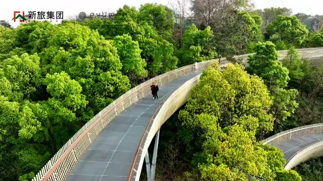 刚传来消息!就在南昌湾里!