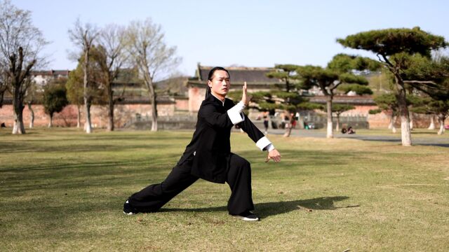 阴阳掌,以八卦掌为基础,讲究蓄力,正面对敌,侧面打人攻击招式