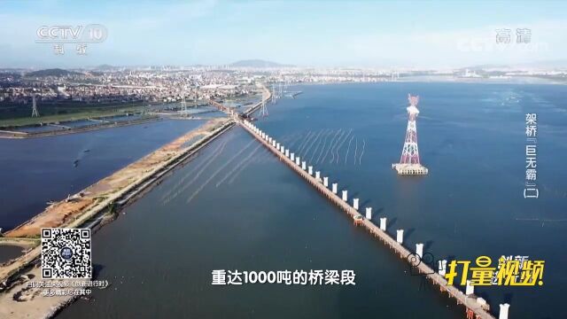 “湄洲湾跨海大桥”是国内首座跨海高铁矮塔斜拉桥