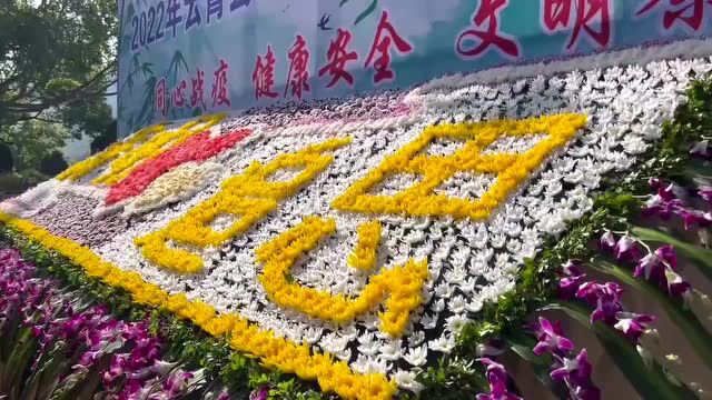 网络中国节 ⷠ清明丨云霄:代祭扫云祭扫 文明寄哀思