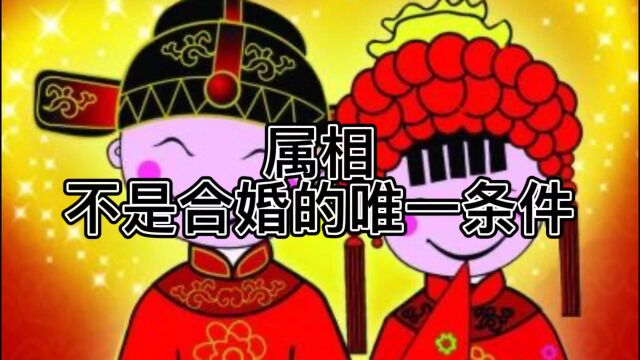 易学智慧 合婚要看八字整体 不能只看属相