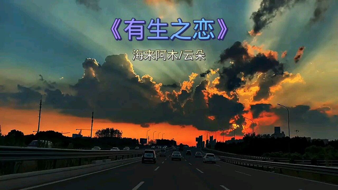 《有生之恋》海来阿木/云朵