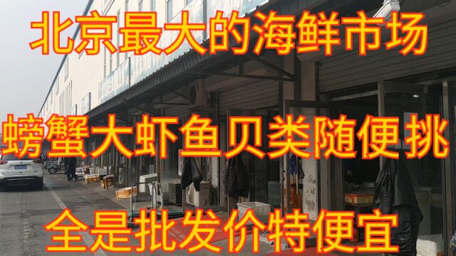 北京最大的海鲜市场,螃蟹大虾鱼类贝类随便挑,全是批发价特便宜