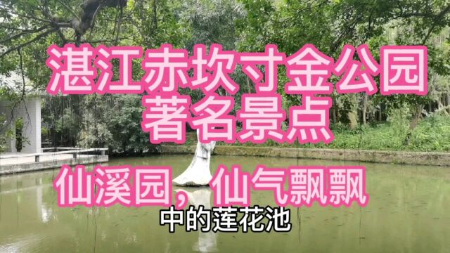 湛江赤坎寸金公园著名景点仙溪园香,仙气飘飘