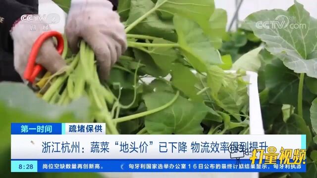 浙江杭州:蔬菜“地头价”已下降,物流效率得到提升