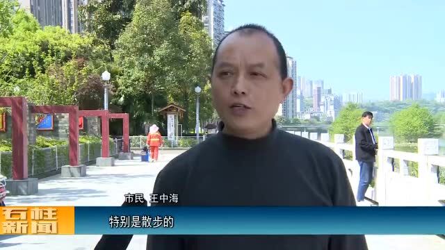 围观!石柱龙河惊现“鱼翔浅底”景象