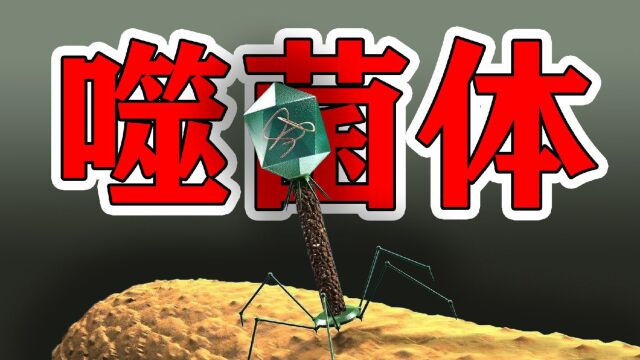 小伙把噬菌体放大600000倍,用它可以消灭新冠病毒吗?