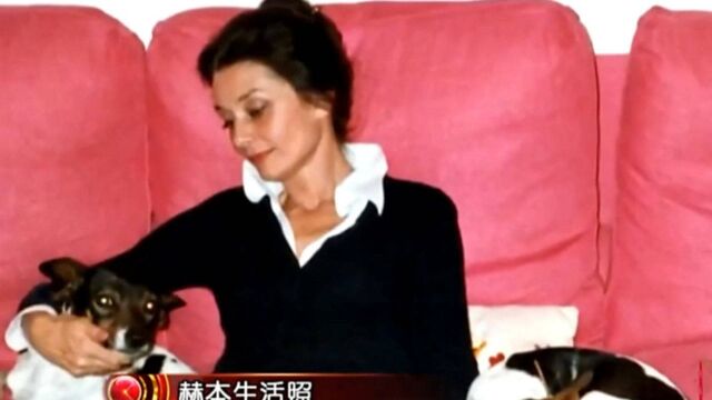 赫本两次婚姻失败后,再出现在观众中,是为保护“全世界”的孩子