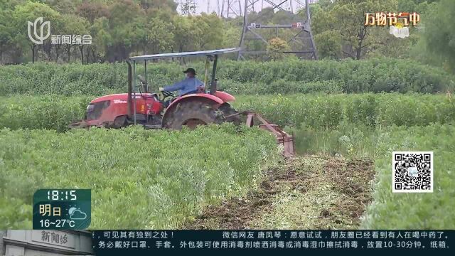 奉贤:制定农业人员“白名单” 1800人投入春耕生产