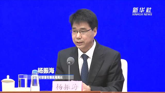 杨振海:预计三季度生猪养殖有望实现扭亏为盈