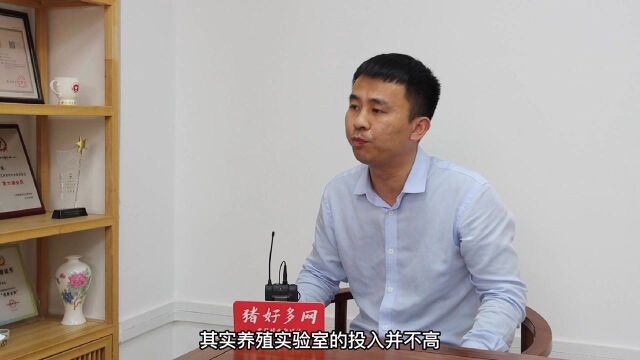 梅西实业:防控非洲猪瘟要做到”三早”,即可将风险降到最低