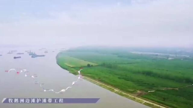 “荒滩”变“绿洲”,长江干线武安段生态建设效果初显