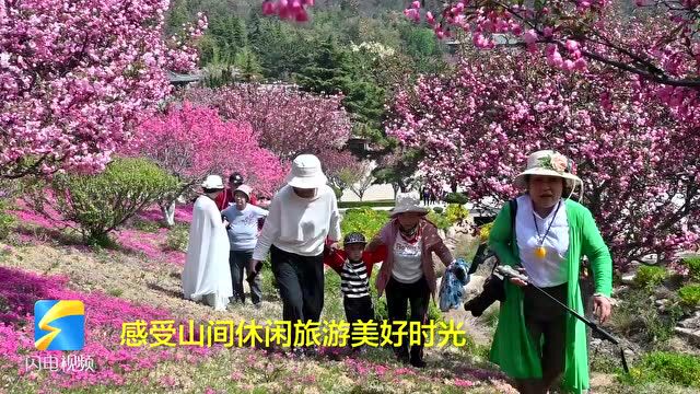 山东荣成:赤山休闲慢生活 乡间旅游好时节