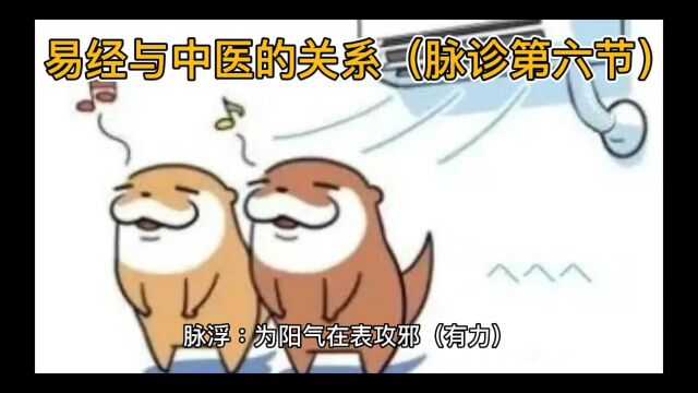 易经与中医学(脉诊第六节)