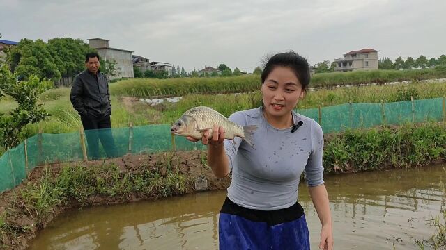 水塘里抓大货,感受抓鱼的乐趣,收获不错开心回家