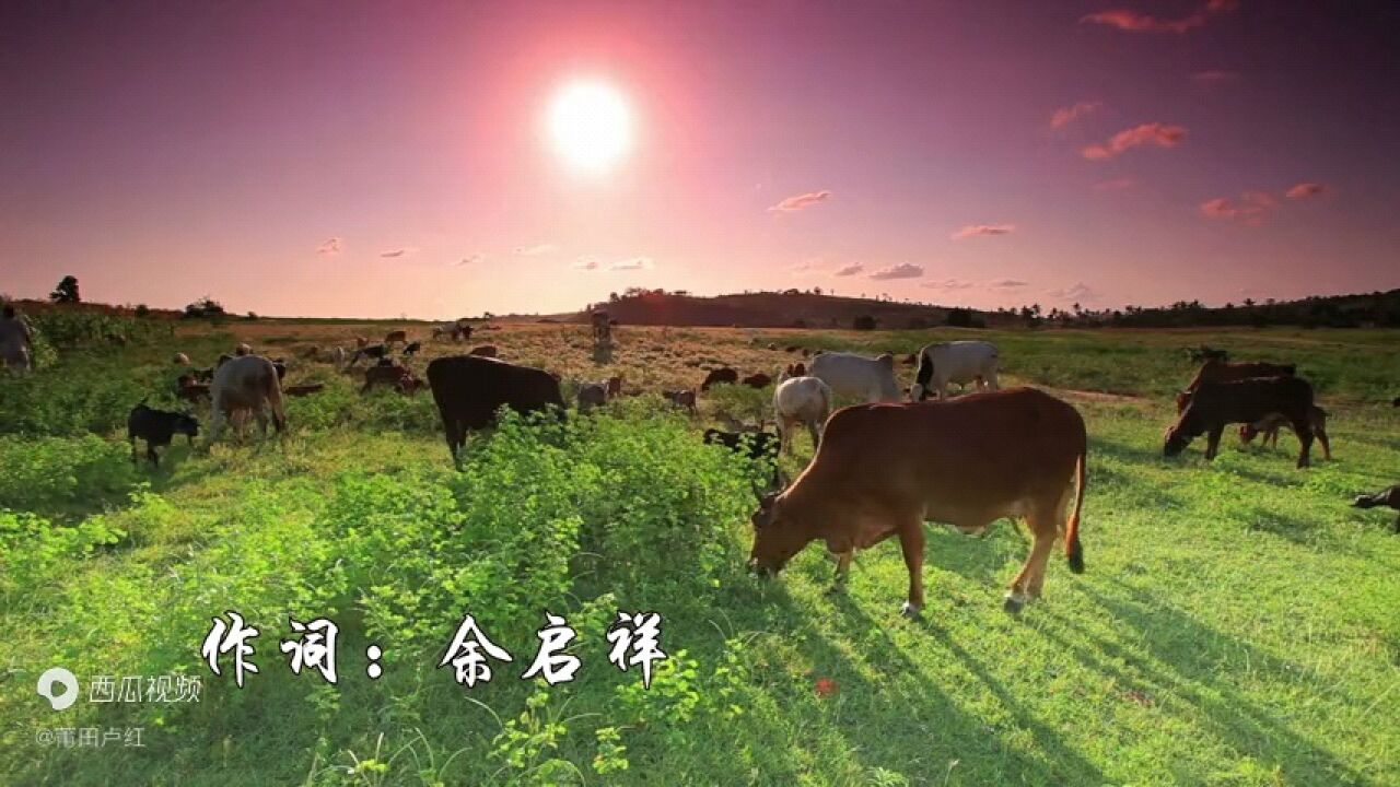 游牧时光陈敏中音图片