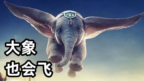 马戏团演出事故,危急时刻大象会飞了!