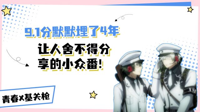 青春X基关枪:9.1分默默埋了4年,让人舍不得分享的小众番!