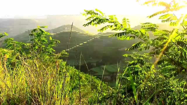 纯音乐《我心中的夏天》,最美的夏天在我眼里