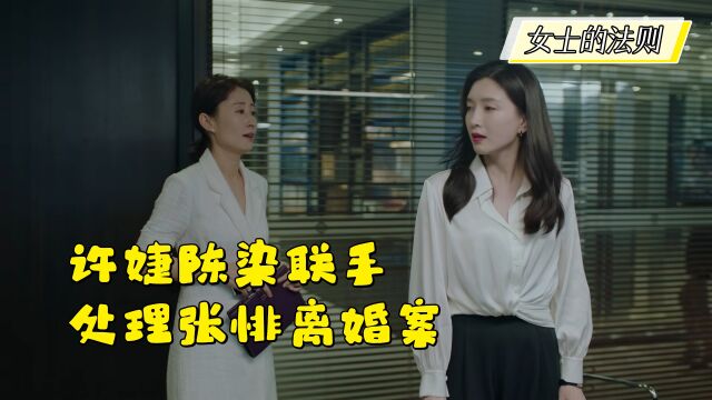 许婕陈染联手处理张悱离婚案,陈染动之以情晓之以理,说服王承远再议女儿抚养权